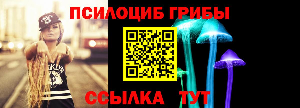 Галлюциногенные грибы мухоморы  Галлюциногенные грибы ЛСД  Бийск  Вход с VPN 